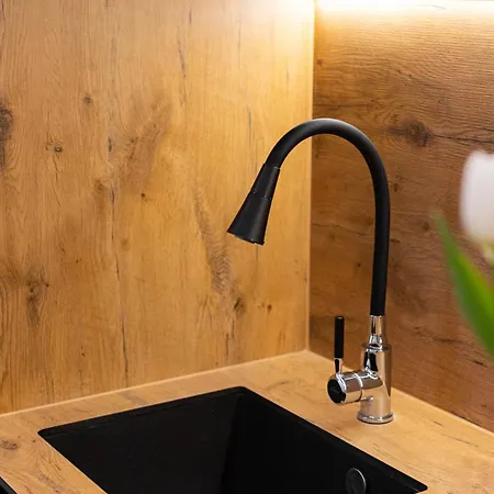 Native Kołłątaja Apartament Kraków