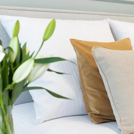 Apartament Native Kołłątaja Kraków